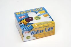 Absorbant Water Lily