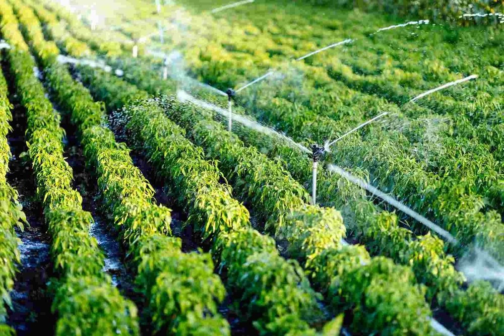 Intex Soldes -Intex Soldes drip sprinkler irrigation system 1000x1000 1